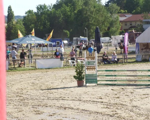 Reitturnier Heiligenwald 2022