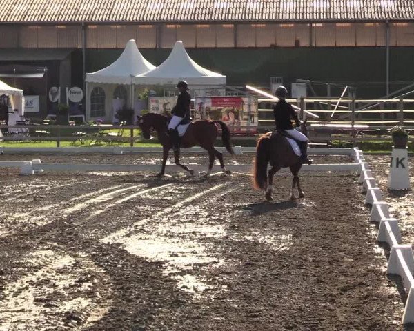 Reitturnier Kleinsolt 2022