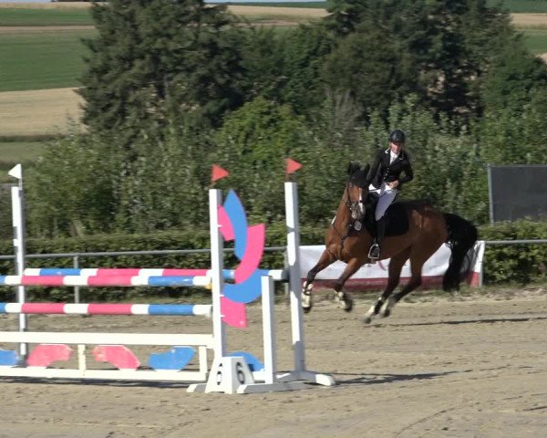 Reitturnier Weiswampach 2022