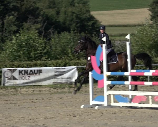 Reitturnier Weiswampach 2022