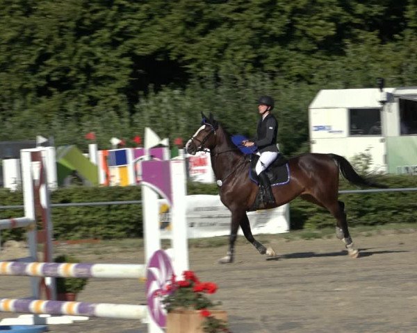 Reitturnier Weiswampach 2022