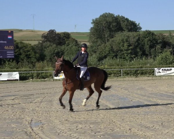 Reitturnier Weiswampach 2022
