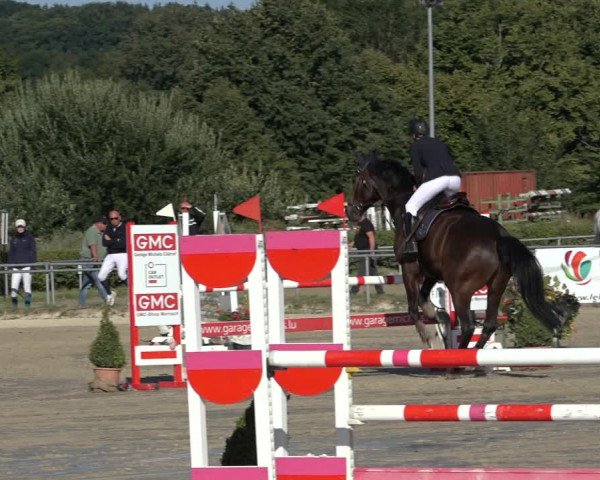 Reitturnier Weiswampach 2022
