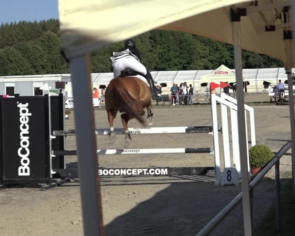 Reitturnier Weiswampach 2022