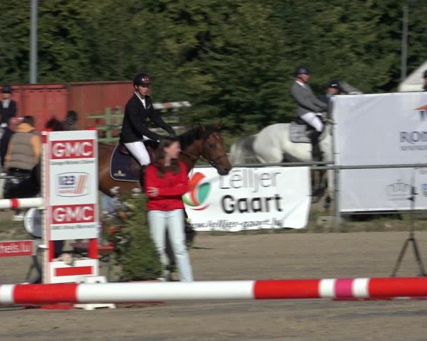Reitturnier Weiswampach 2022