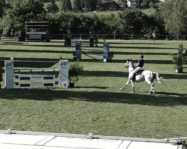 Reitturnier Elgg 2022