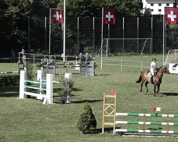Reitturnier Elgg 2022