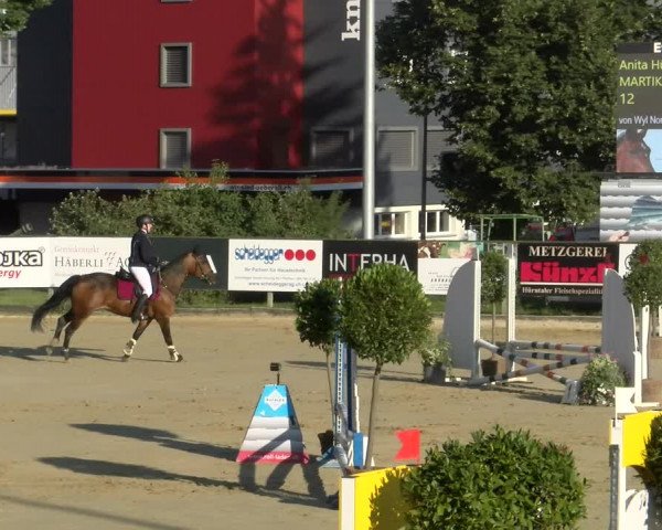 Reitturnier Dagmersellen 2022