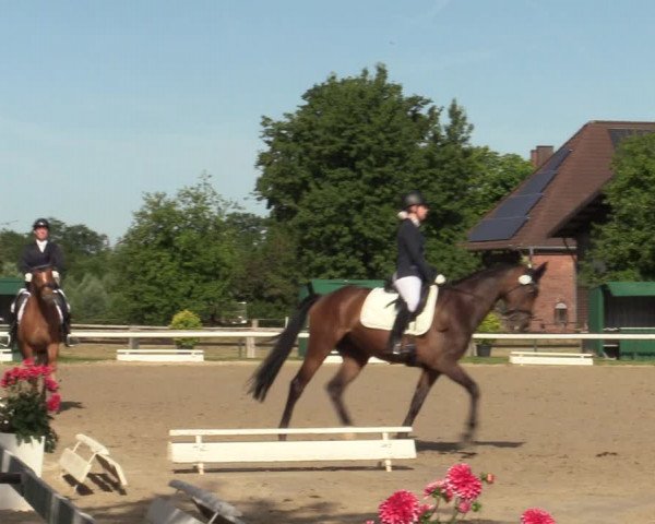 Reitturnier Recklinghausen 2022