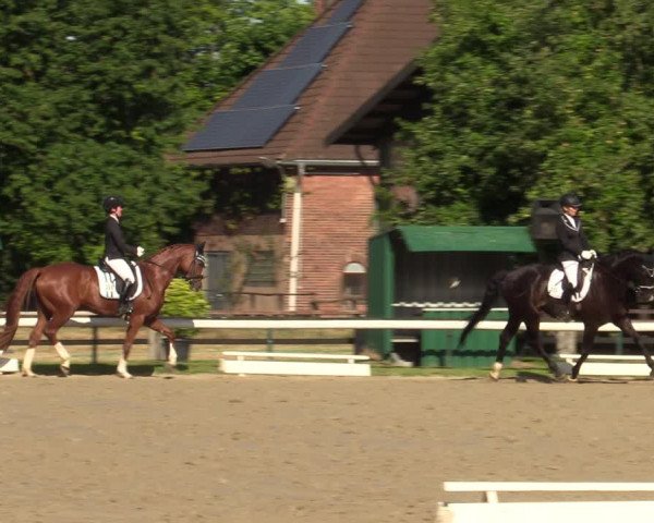 Reitturnier Recklinghausen 2022