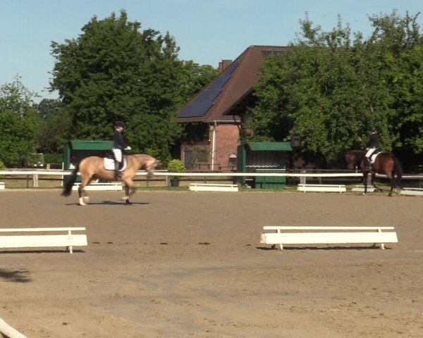 Reitturnier Recklinghausen 2022