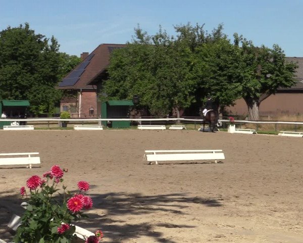 Reitturnier Recklinghausen 2022