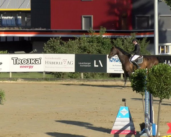 Reitturnier Dagmersellen 2022