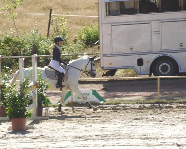 Reitturnier Heiligenwald 2022