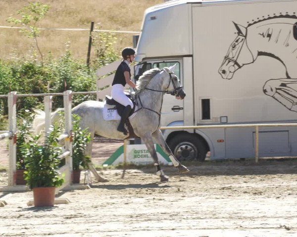 Reitturnier Heiligenwald 2022