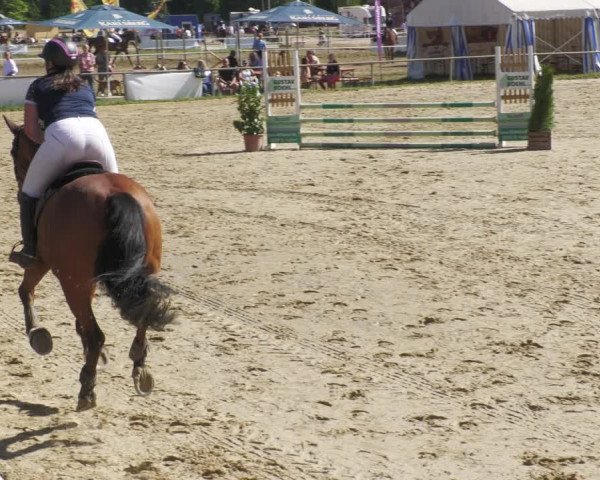 Reitturnier Heiligenwald 2022
