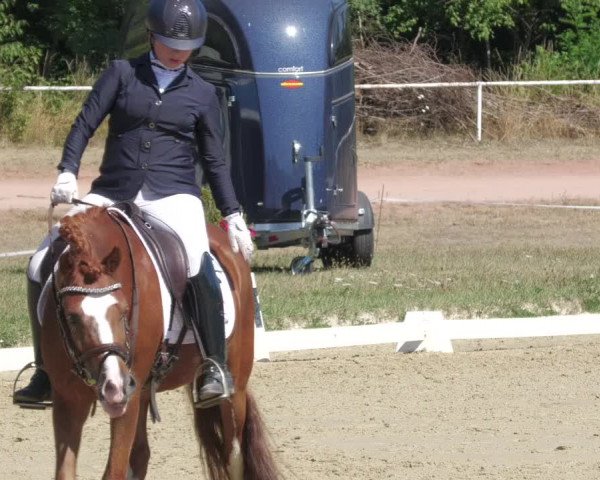 Reitturnier Heiligenwald 2022