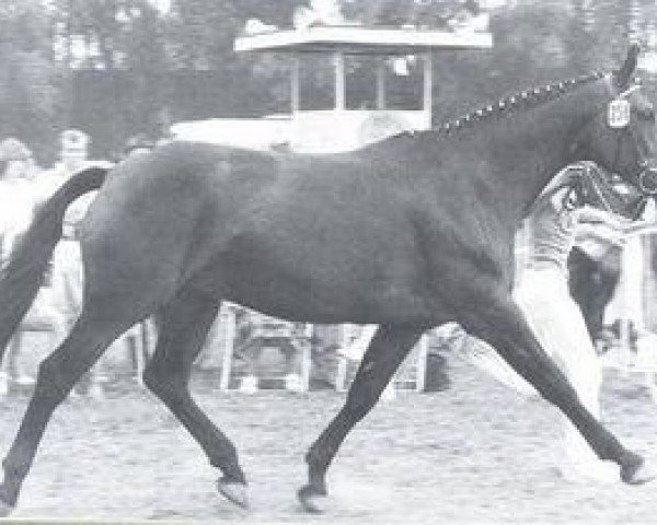 broodmare Gode (Rhinelander, 1971, from Garamond)