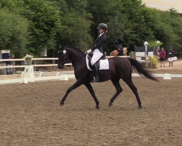 Reitturnier Kleinsolt 2022