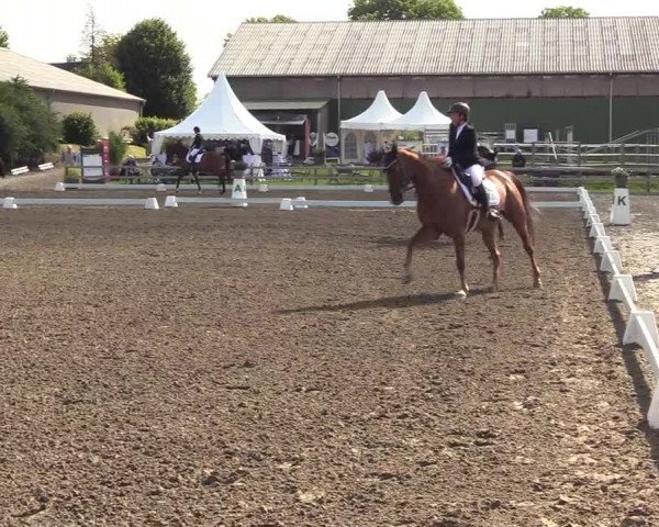 Reitturnier Kleinsolt 2022