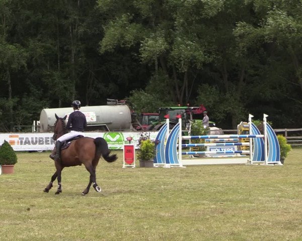 Reitturnier Greven 2022