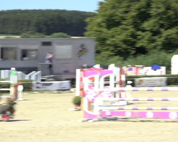 Reitturnier Weiswampach 2022