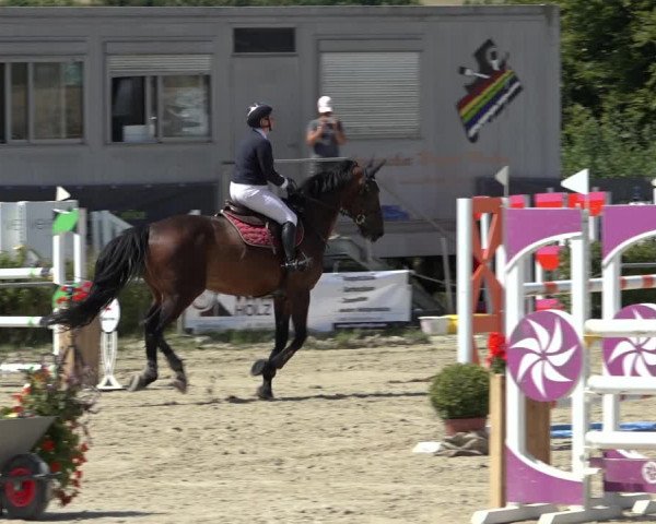 Reitturnier Weiswampach 2022