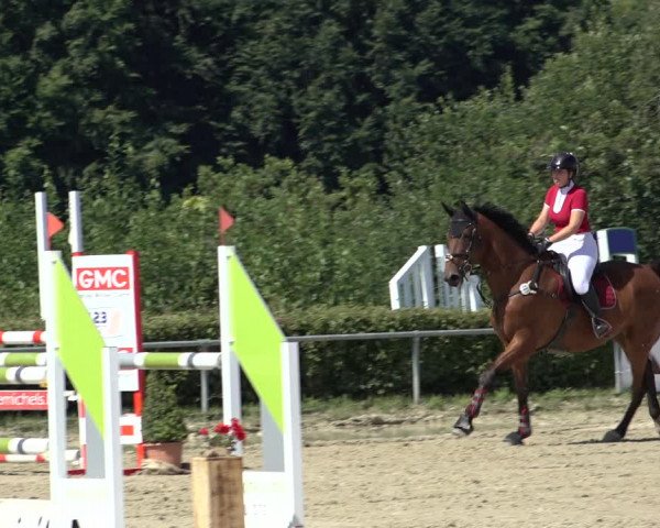 Reitturnier Weiswampach 2022