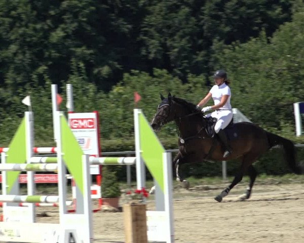 Reitturnier Weiswampach 2022