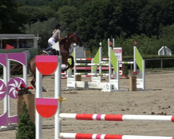 Reitturnier Weiswampach 2022