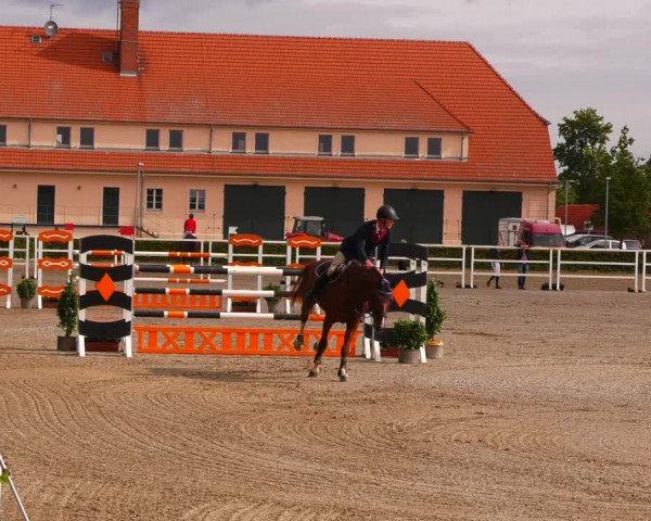 Reitturnier Neustadt/Dosse 2022