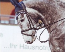 Springpferd Carlos B 2 (Deutsches Reitpferd, 2006, von Cornetto 31)