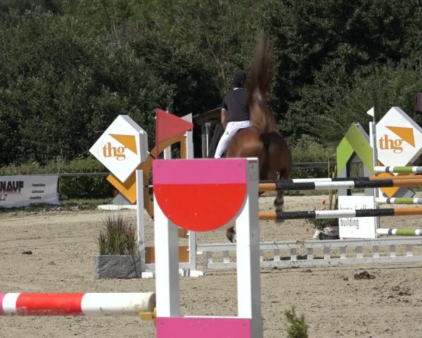 Reitturnier Weiswampach 2022