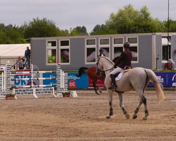 Reitturnier Neustadt/Dosse 2022