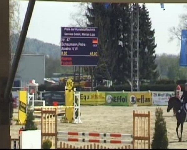 broodmare Alustra N.W. (Westphalian, 2002, from Abanos)