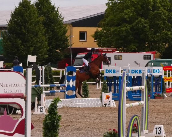 Reitturnier Neustadt/Dosse 2022