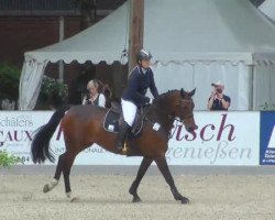 Springpferd Alice Springs H (Oldenburger, 2002, von Argentinus)