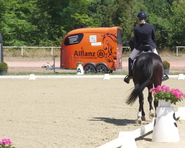 Reitturnier Heiligenwald 2022