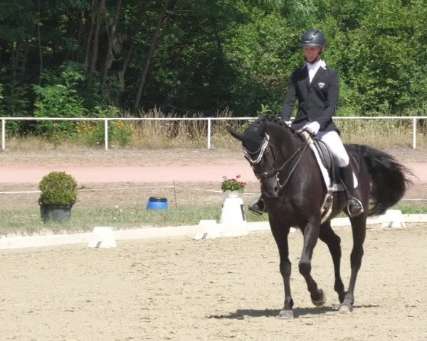 Reitturnier Heiligenwald 2022