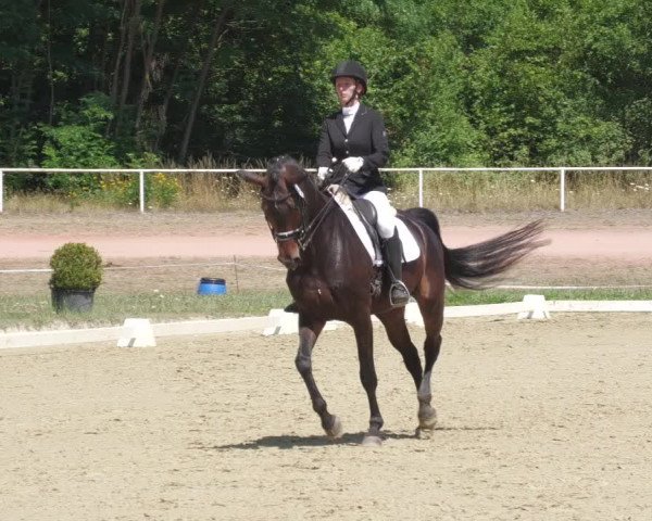 Reitturnier Heiligenwald 2022