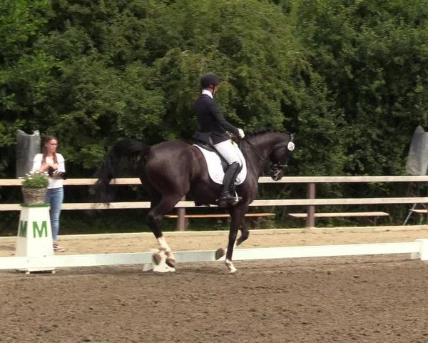 Reitturnier Kleinsolt 2022