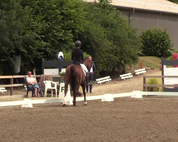 Reitturnier Kleinsolt 2022