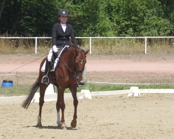Reitturnier Heiligenwald 2022