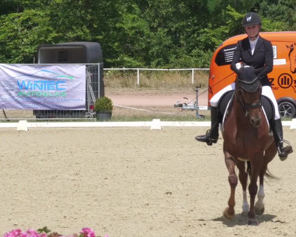 Reitturnier Heiligenwald 2022