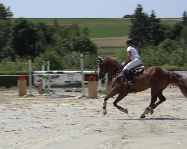 Reitturnier Weiswampach 2022