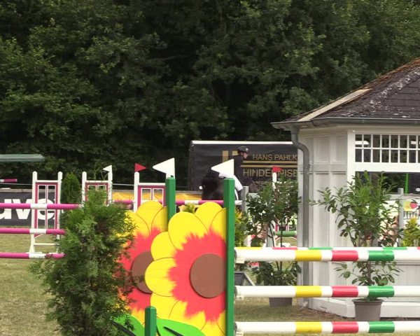 Reitturnier Greven 2022