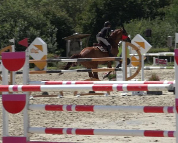 Reitturnier Weiswampach 2022