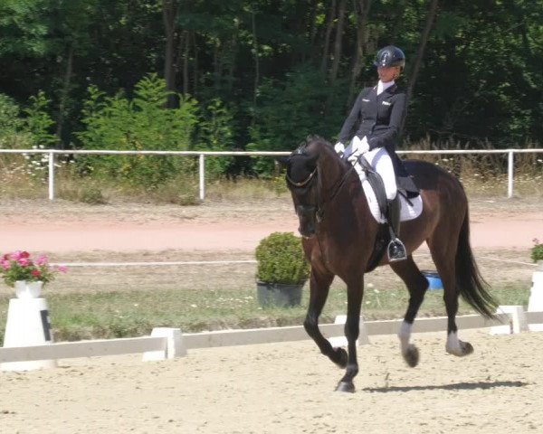 Reitturnier Heiligenwald 2022