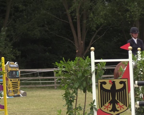 Reitturnier Greven 2022