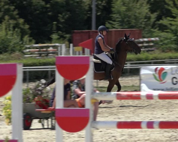 Reitturnier Weiswampach 2022